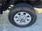 2024 Ford Super Duty F-250 SRW XLT