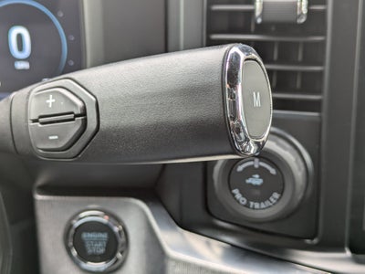 2025 Ford Super Duty F-250 SRW Platinum