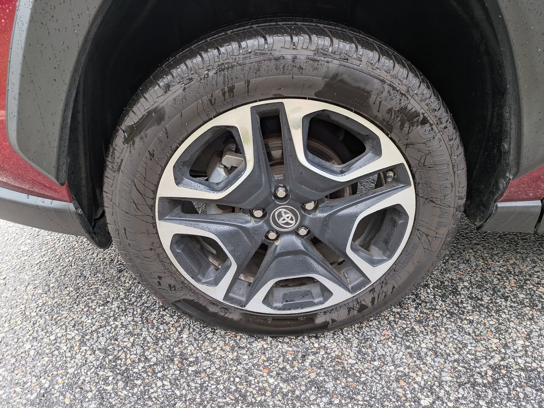 2019 Toyota RAV4 Adventure