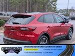 2026 Ford Escape ST-Line - Crossroads Courtesy Demo