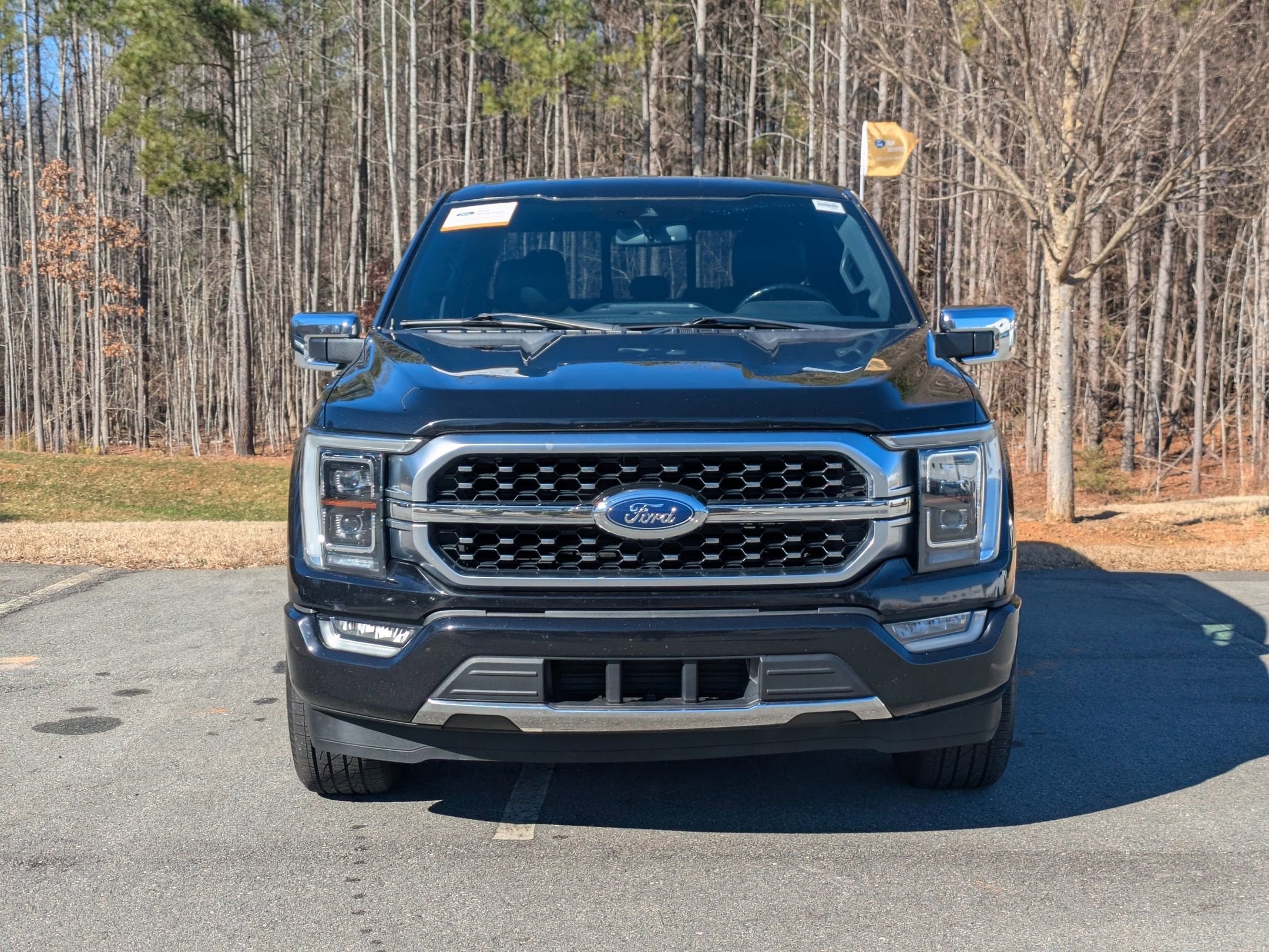 2021 Ford F-150 Platinum