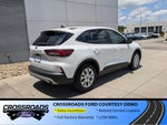 2025 Ford Escape Active - Crossroads Courtesy Demo