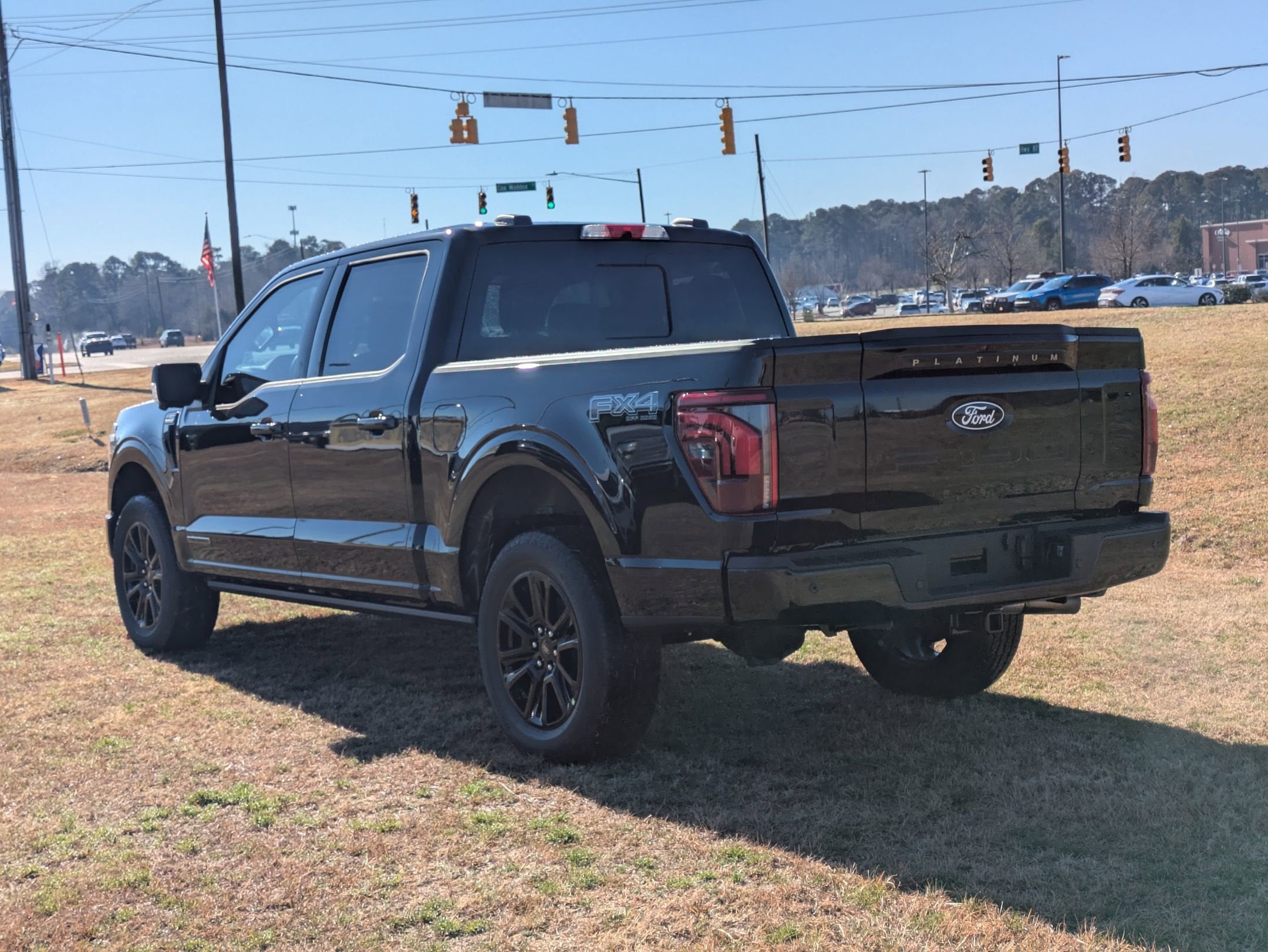 2025 Ford F-150 Platinum