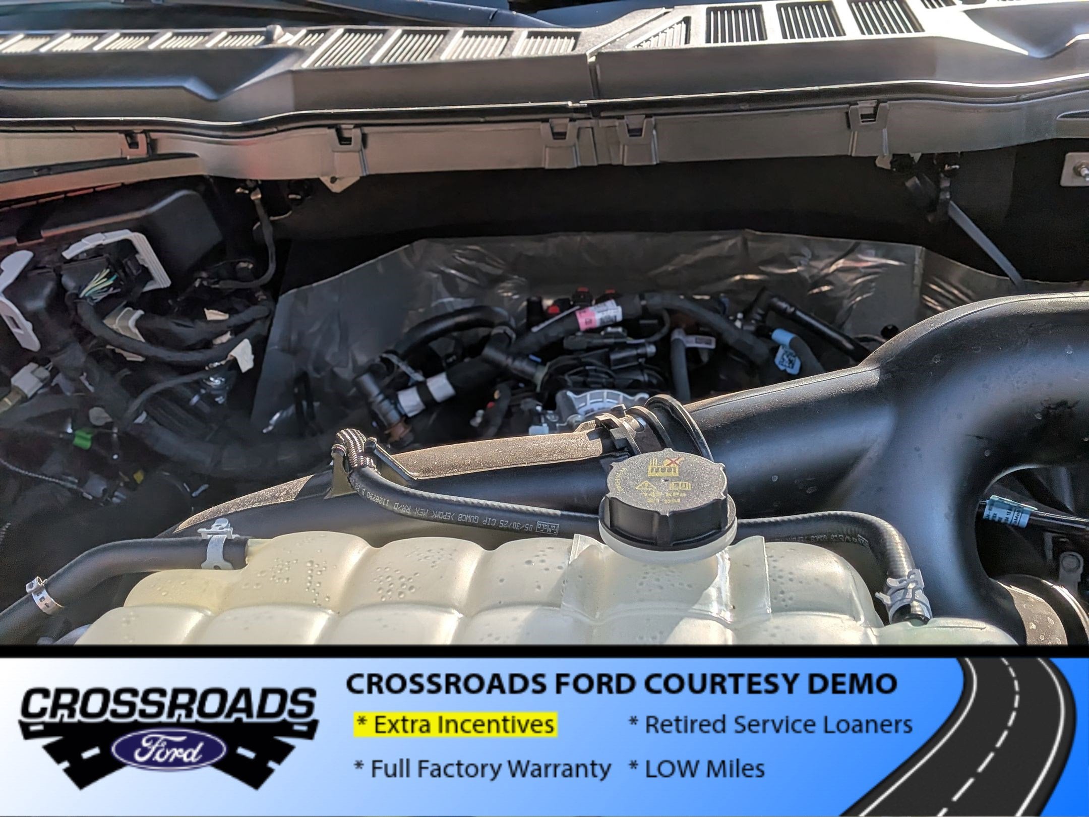 2025 Ford F-150 STX - Crossroads Courtesy Demo