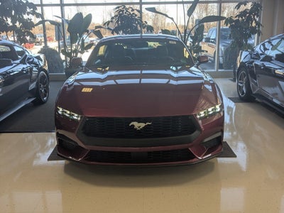 2026 Ford Mustang EcoBoost