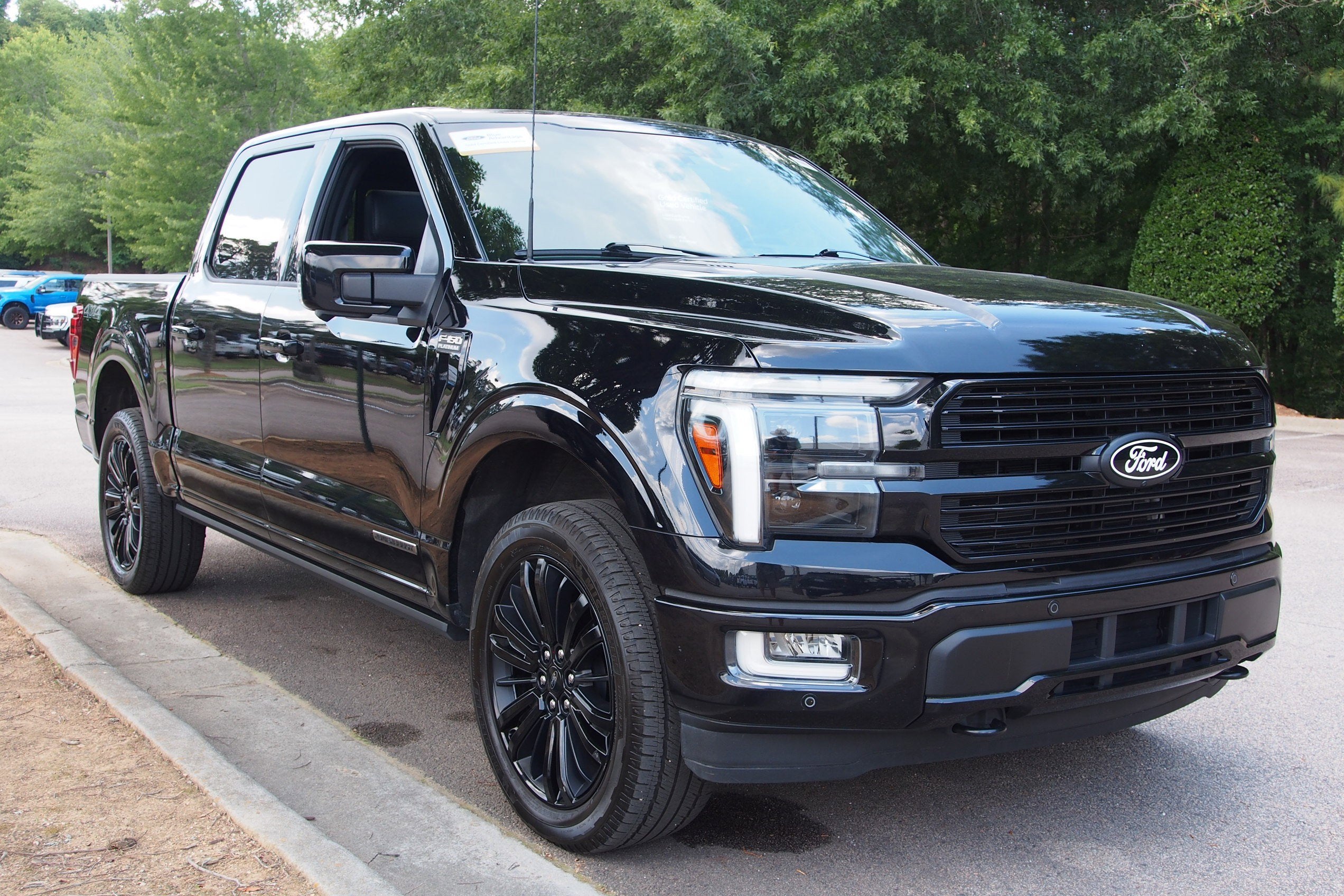 2025 Ford F-150 Platinum