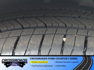 2025 Ford Escape Active - Crossroads Courtesy Demo