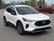 2025 Ford Escape ST-Line - Crossroads Courtesy Demo