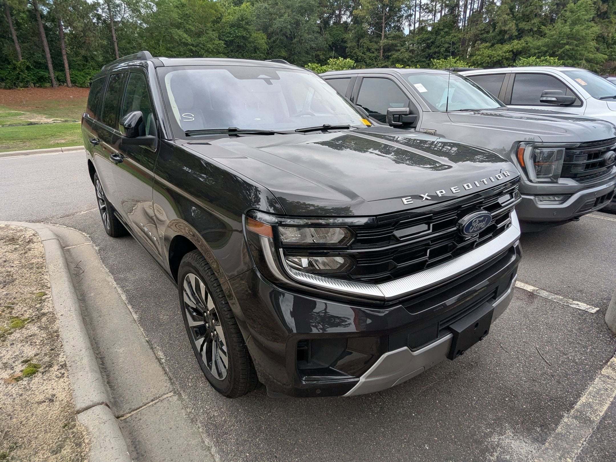 2025 Ford Expedition Platinum 4x4's photo