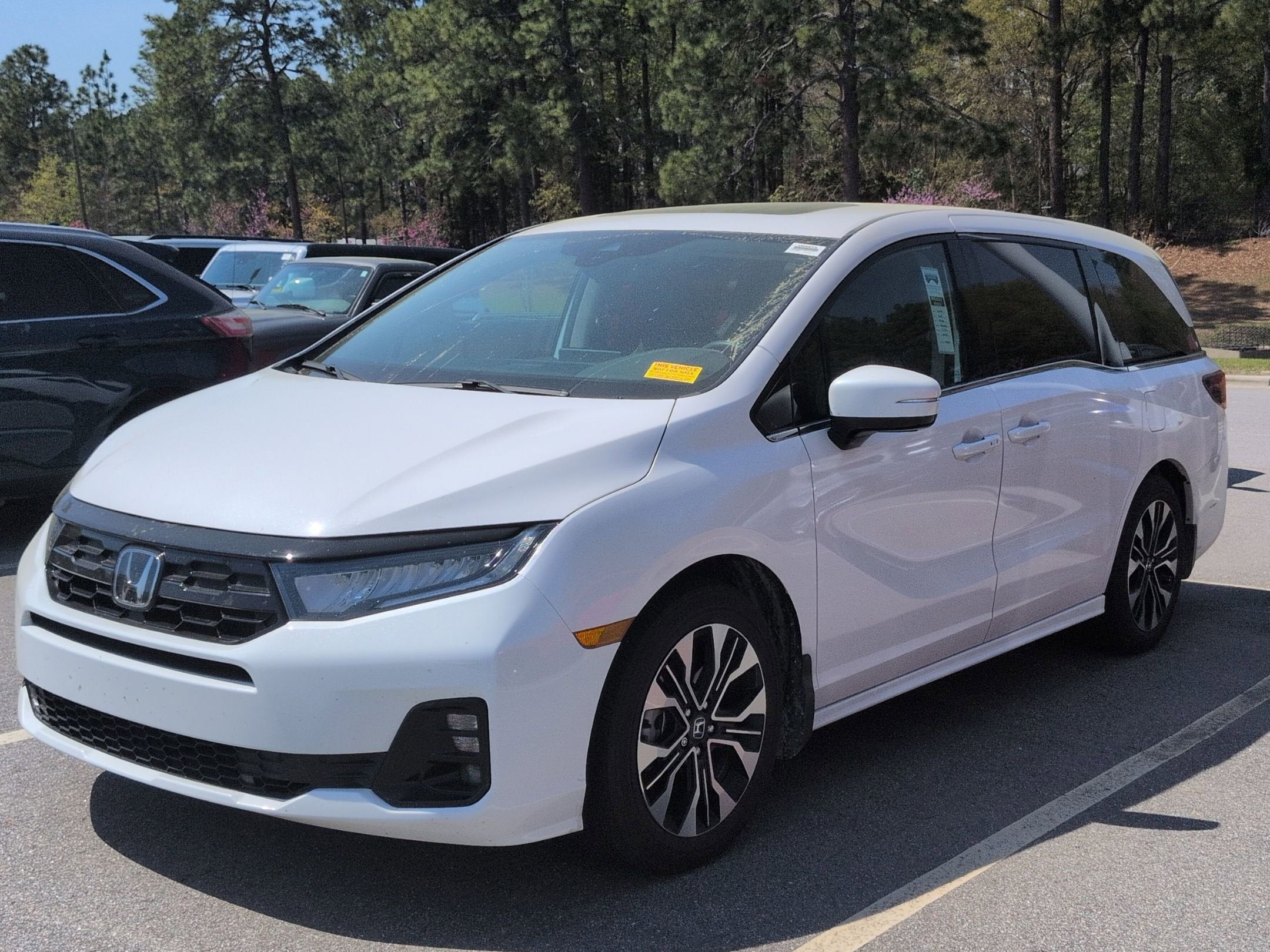 2025 Honda Odyssey Elite