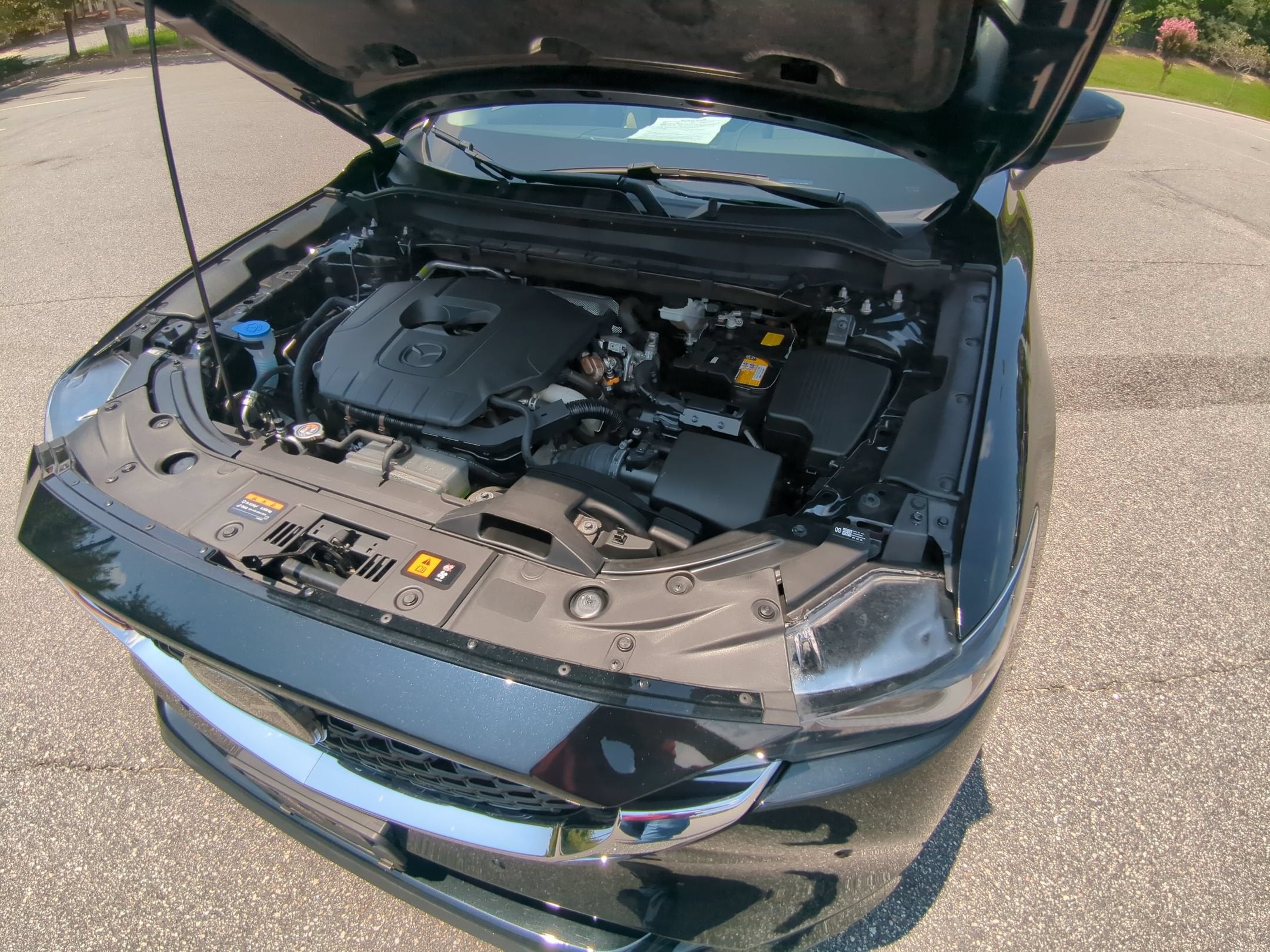 Photo 28