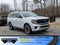 2025 Ford Expedition Platinum - Crossroads Courtesy Demo