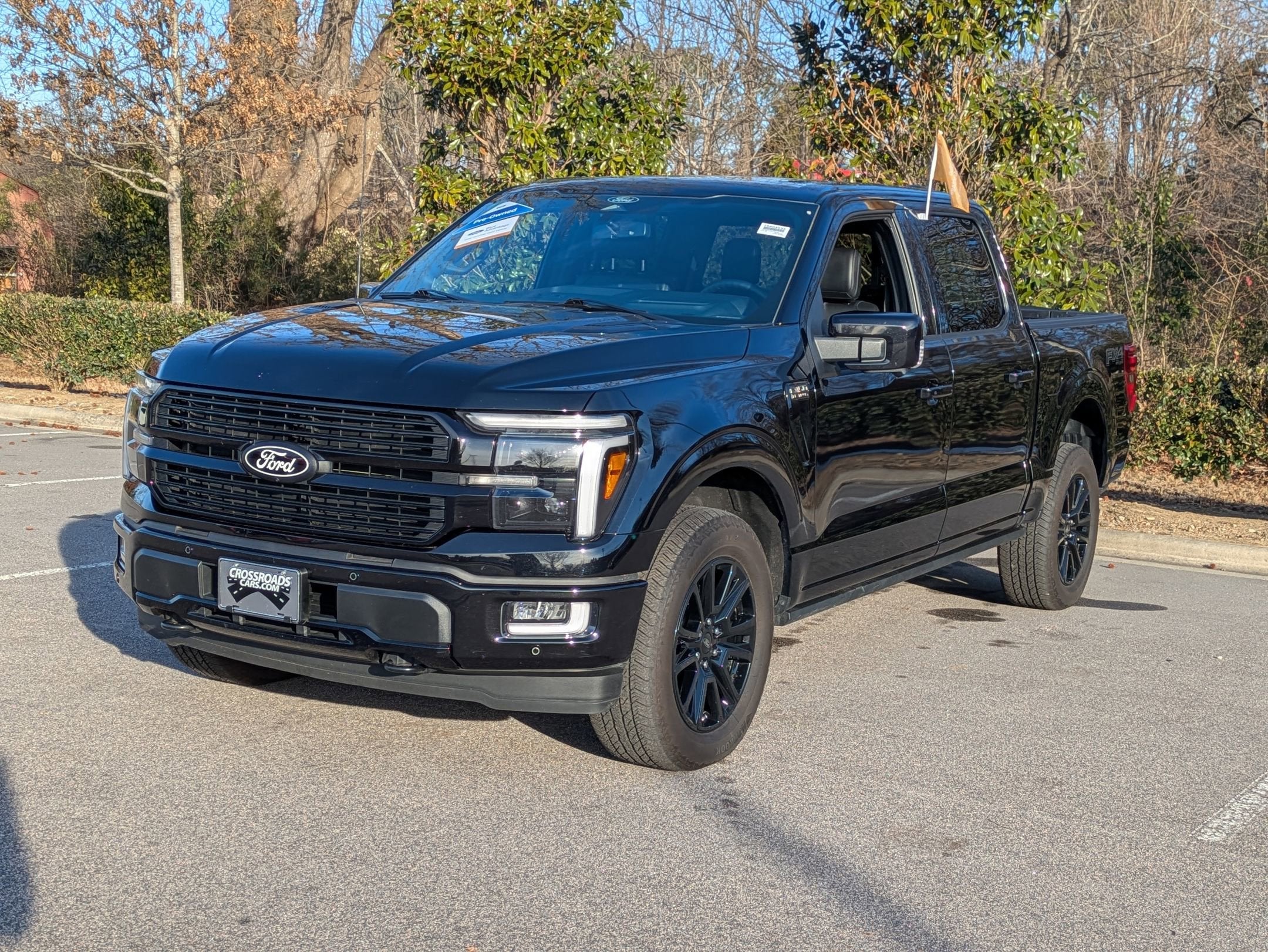 2025 Ford F-150 Platinum