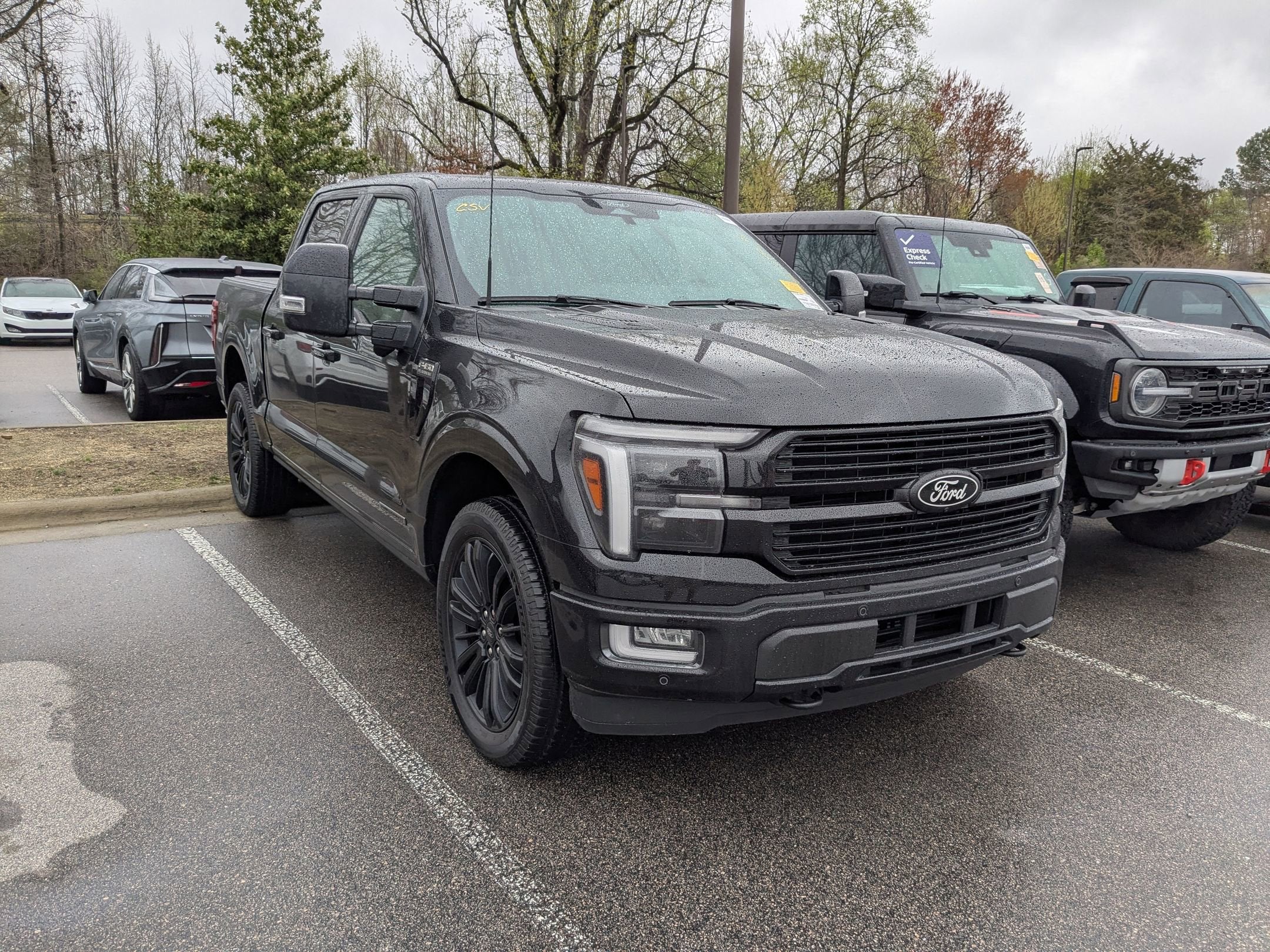 2025 Ford F-150 Platinum