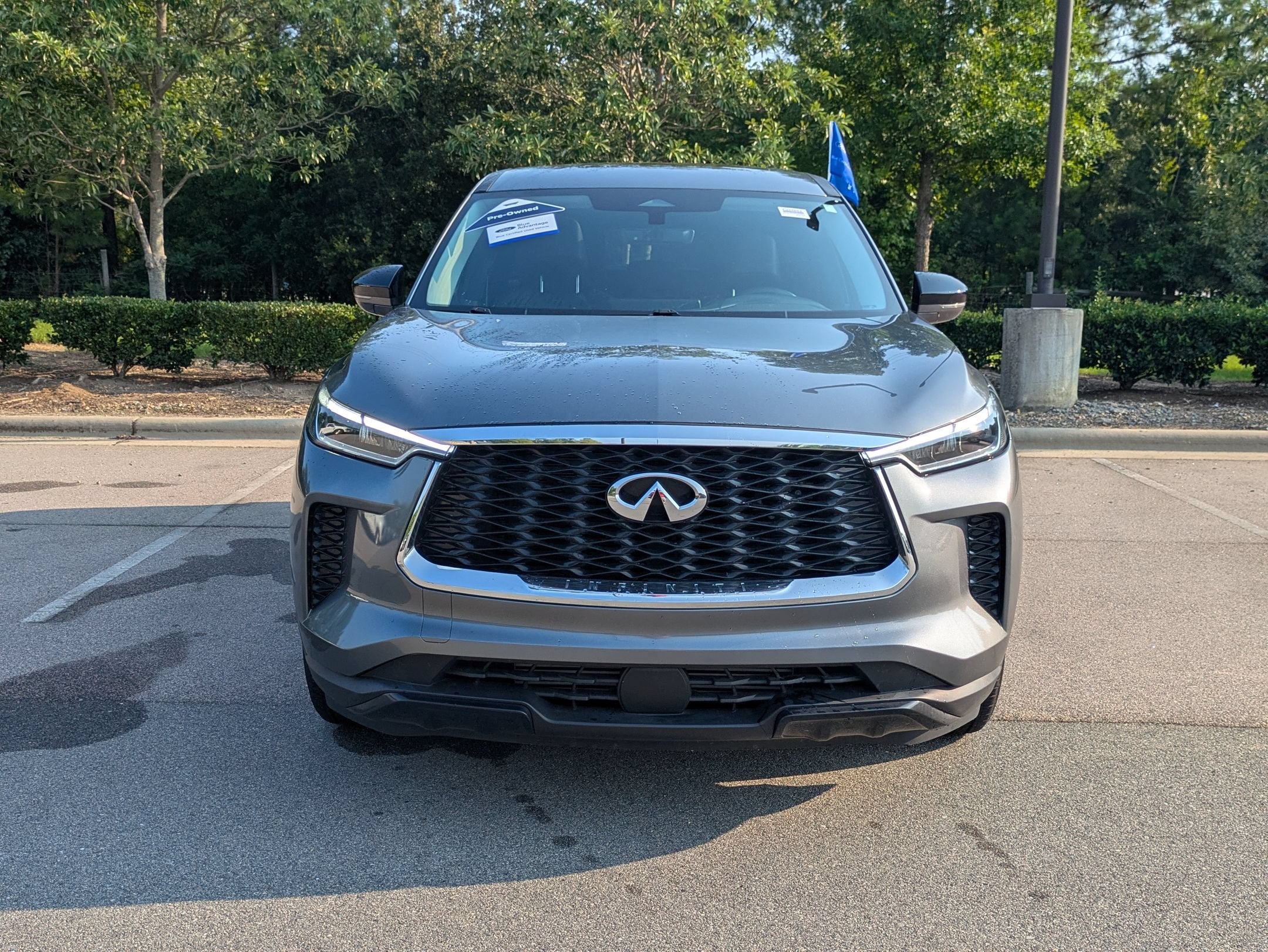 2025 INFINITI QX60 PURE