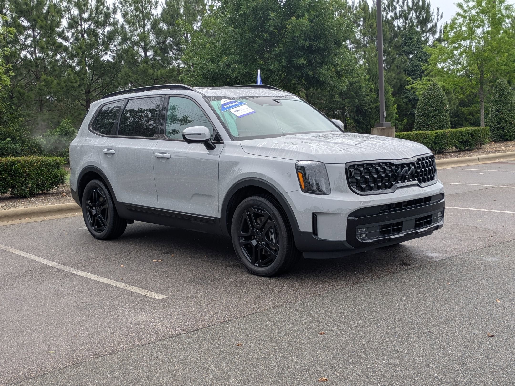 2025 Kia Telluride SX-Prestige X-Line
